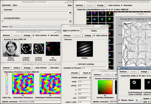 Screenshot of Topographica visualisations