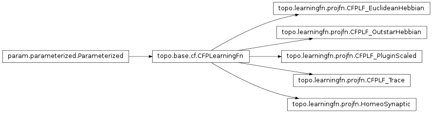 Inheritance diagram of topo.learningfn.projfn